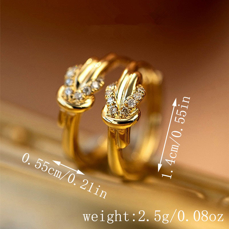 Funkelnde Ohrstecker im Diamant-Look mit Vachette-Schließe